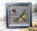 Acherontia atropos AKA Death's-head moth gothic rose