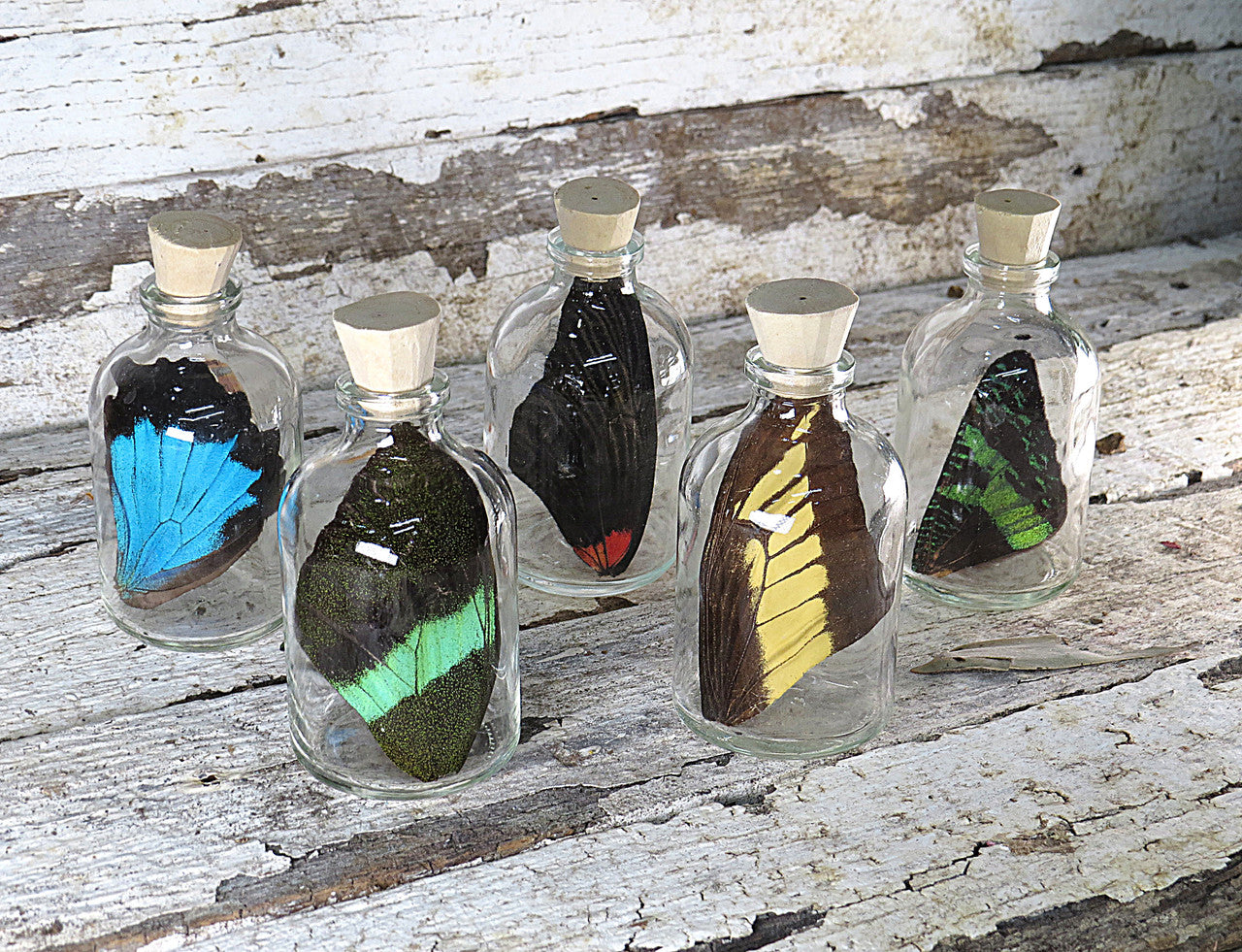 5 Assorted wings in bottles