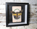 Acherontia atropos AKA Death's-head moth tarot card #1