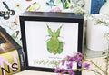 leaf insect bug taxidermy interiors Phyllium pulchrifolium bitsandbugs