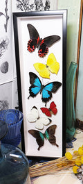 Sweeping butterfly