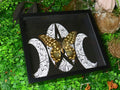 Papilio antenor moon ( special )
