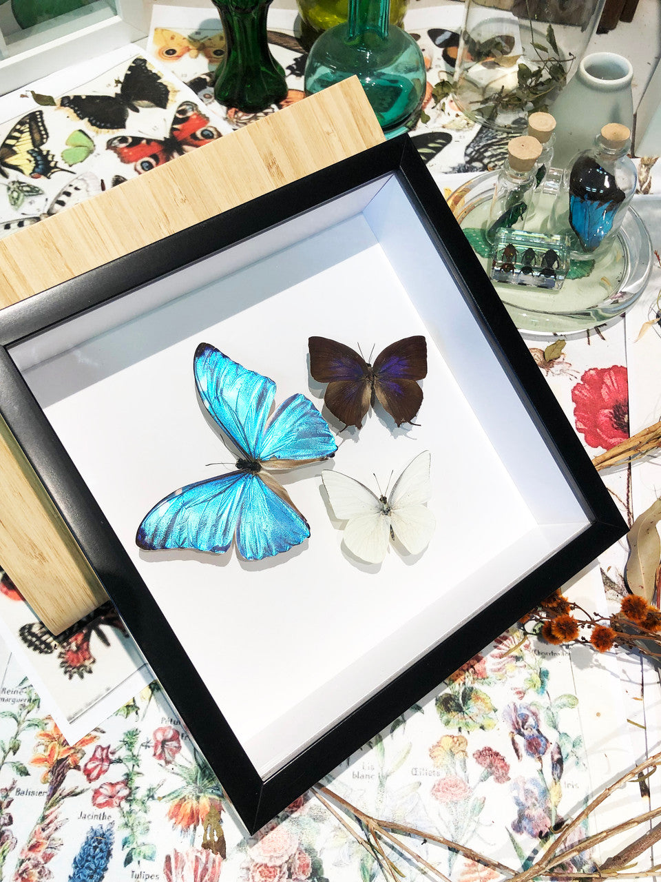Butterfly three ( special )