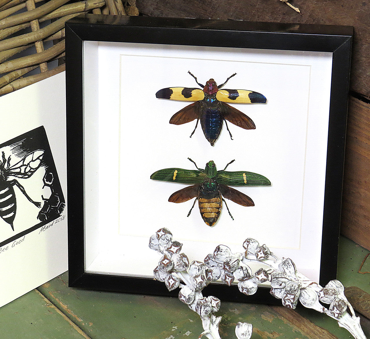 Beetle 2 # ( special )