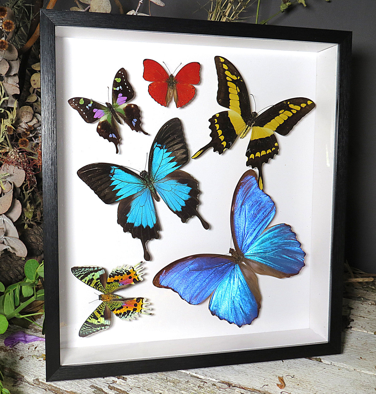 Butterfly 6 sweep