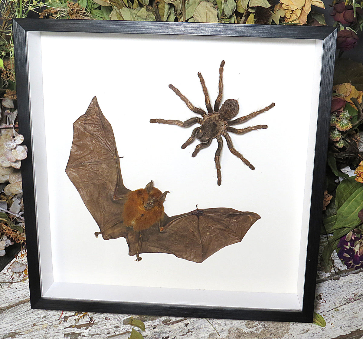 Bat Spider combo