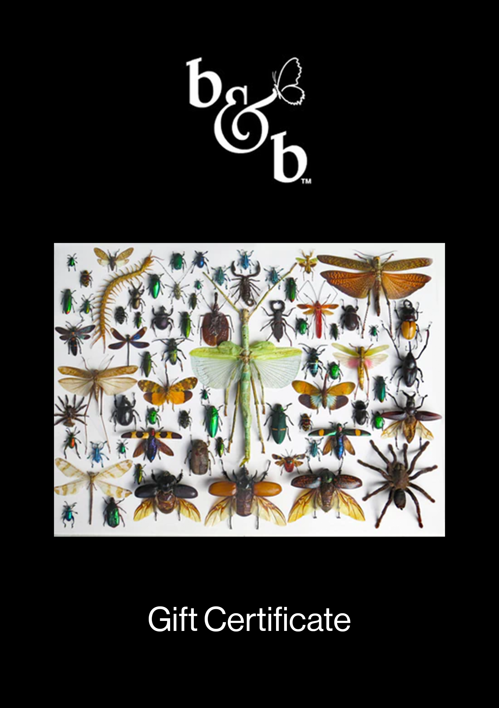 Bits & Bugs Gift Certificate