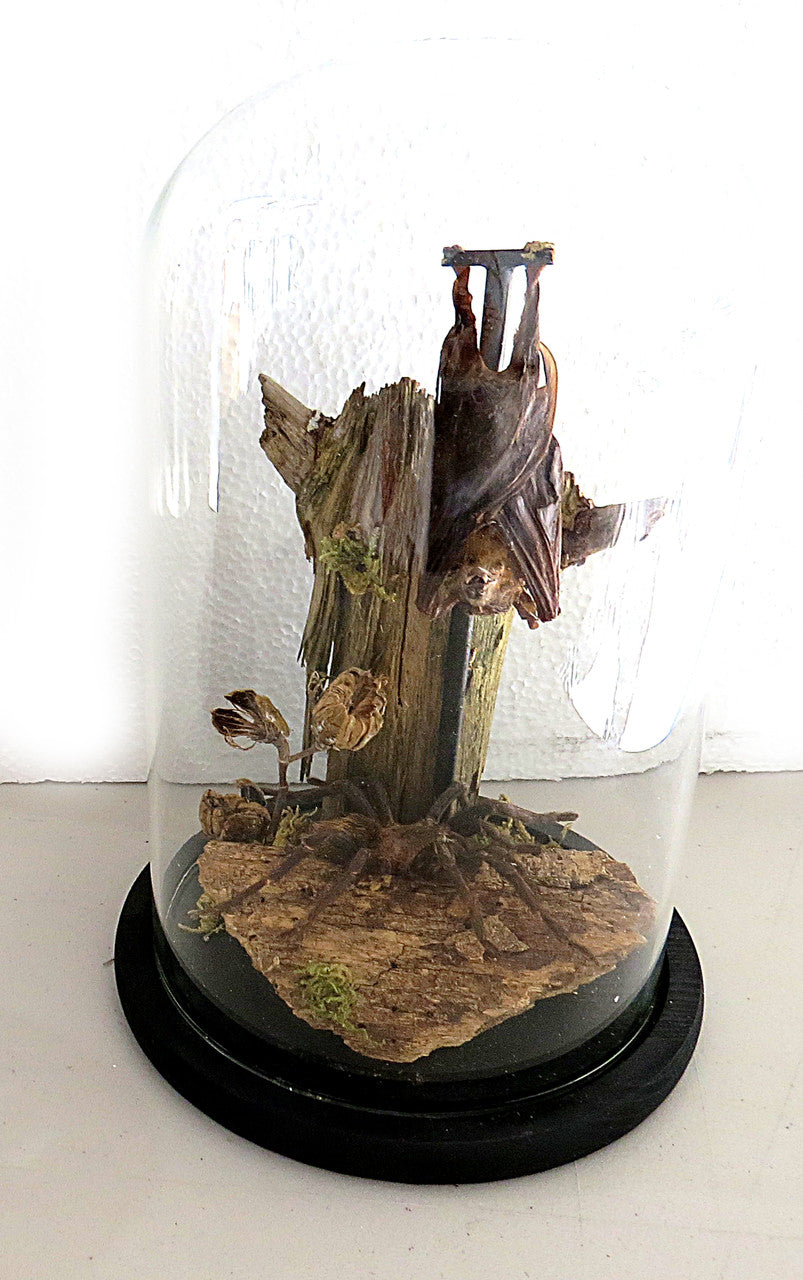 Dome Spider Bat # 17 ( LOCAL PICKUP ONLY )