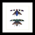 Beetle 2 # ( special )