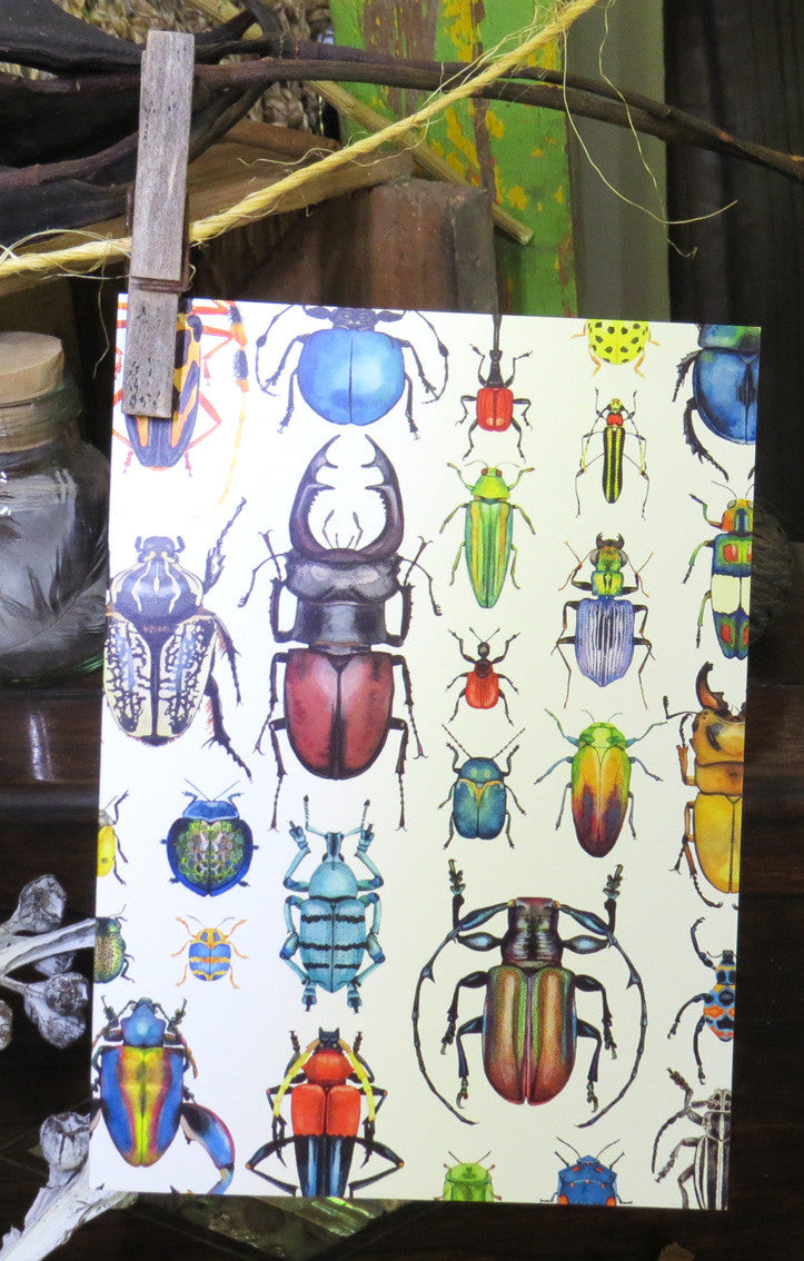 Insect bug bee butterfly dragonfly taxidermy entomology beetle moth