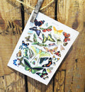 Butterfly Card 20
