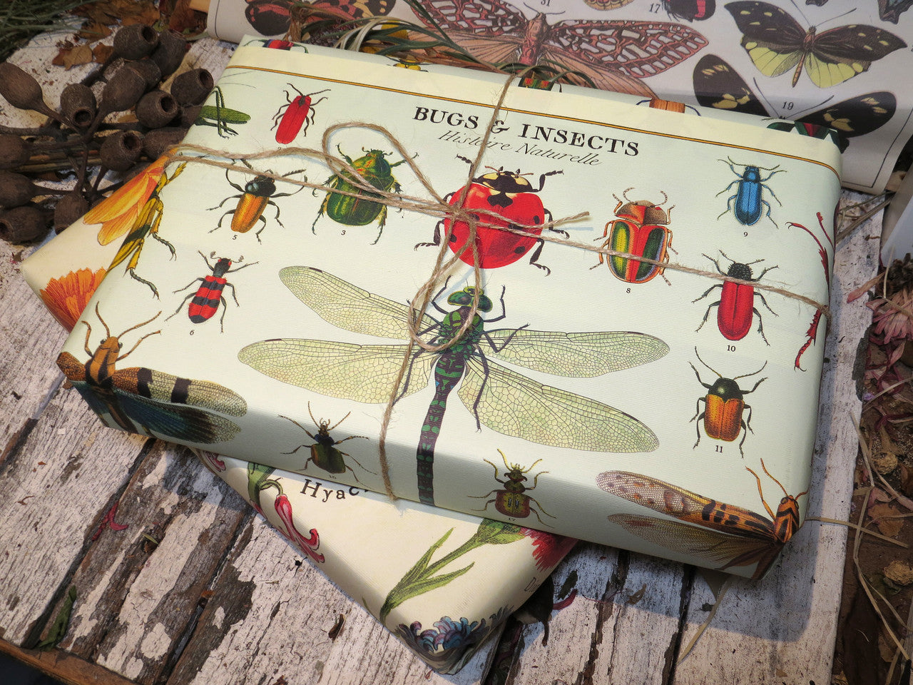 Gift wrap paper Bugs & Insects