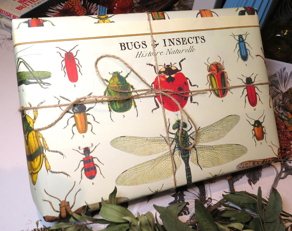 Gift wrap paper Bugs & Insects