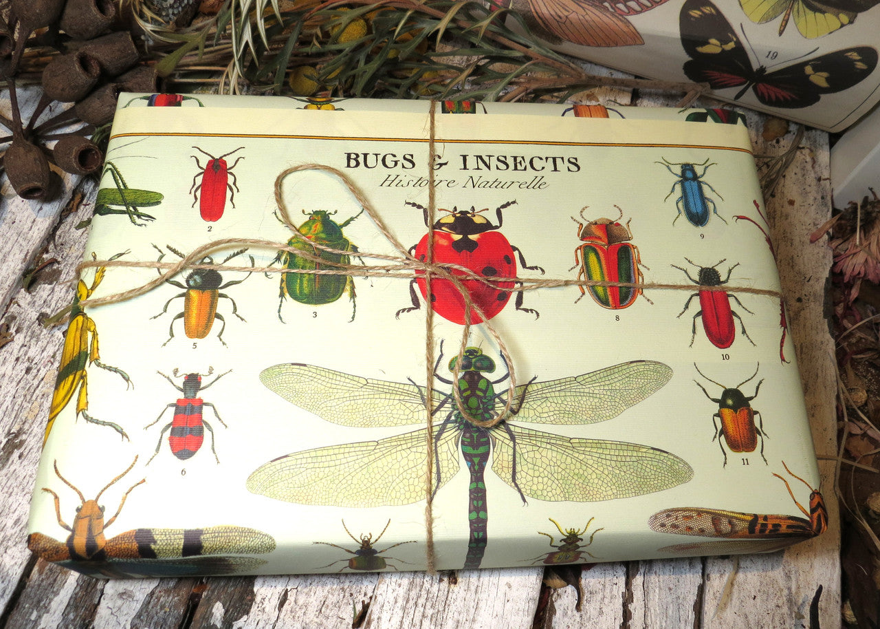 Gift wrap paper Bugs & Insects