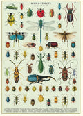 Gift wrap paper Bugs & Insects