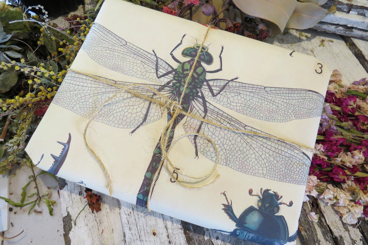 giftwrap bugs on paper 