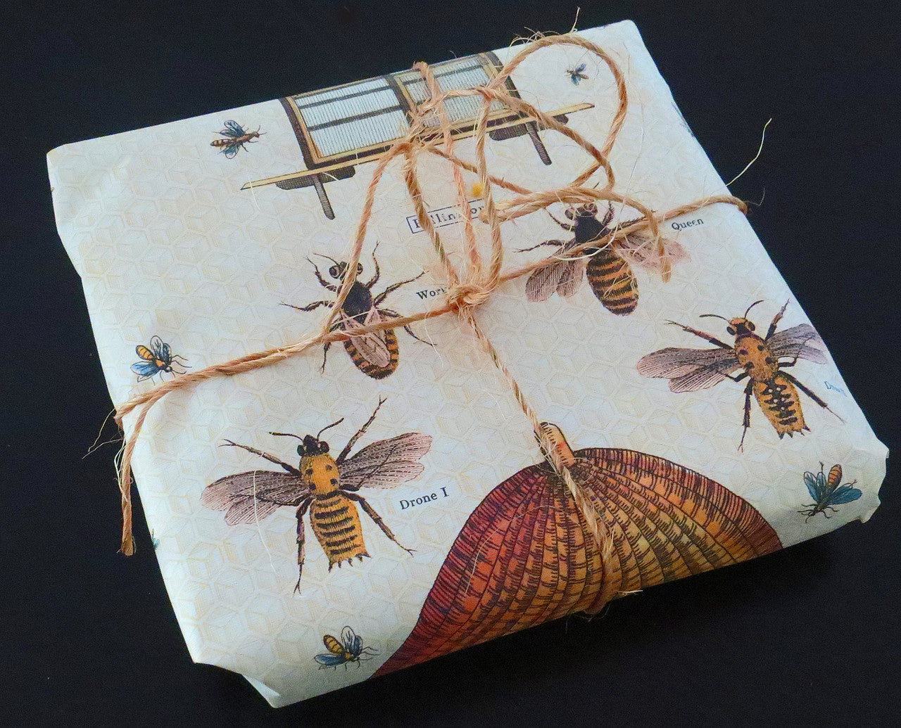bugs bees