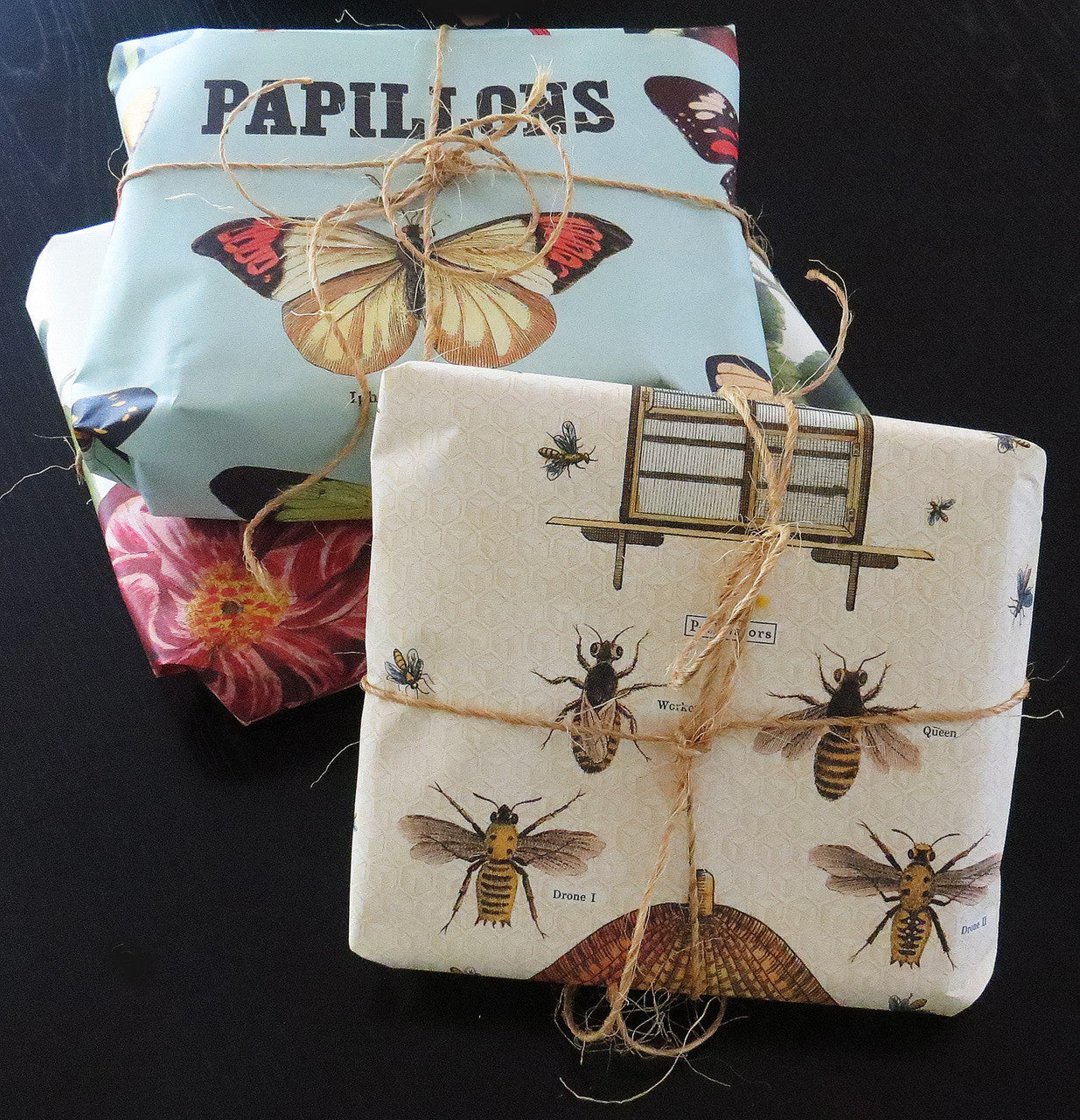 bugs bees