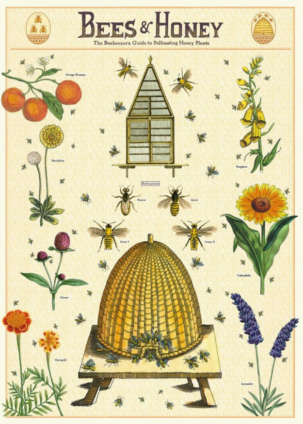 Gift wrap paper Bee print