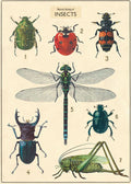 Gift wrap paper Bugs Large print