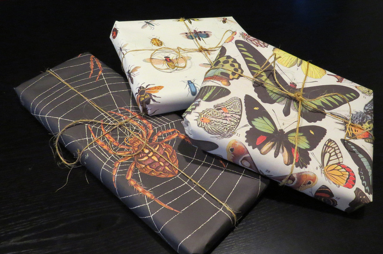 Butterfly paper Bits & Bugs