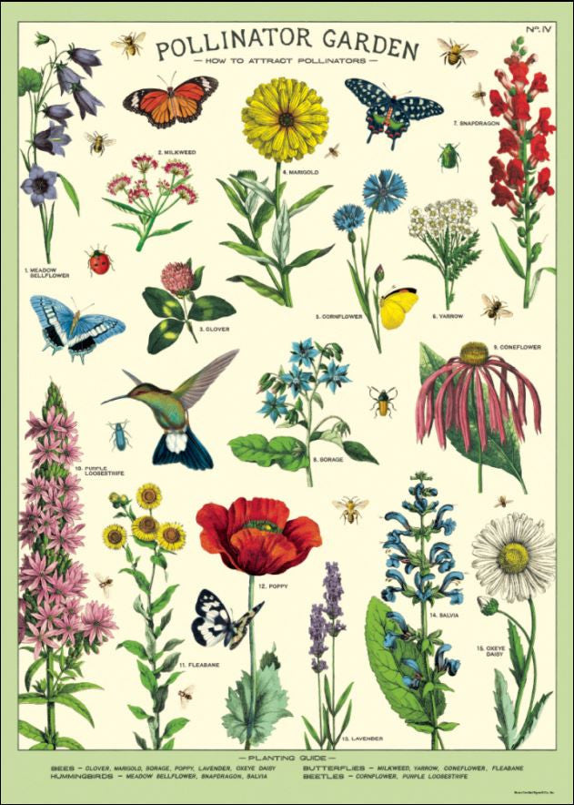 gift wrap paper